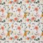 Preview: Baumwolljersey Blüten Apricot/Weiß Töne auf Weiß by Swafing